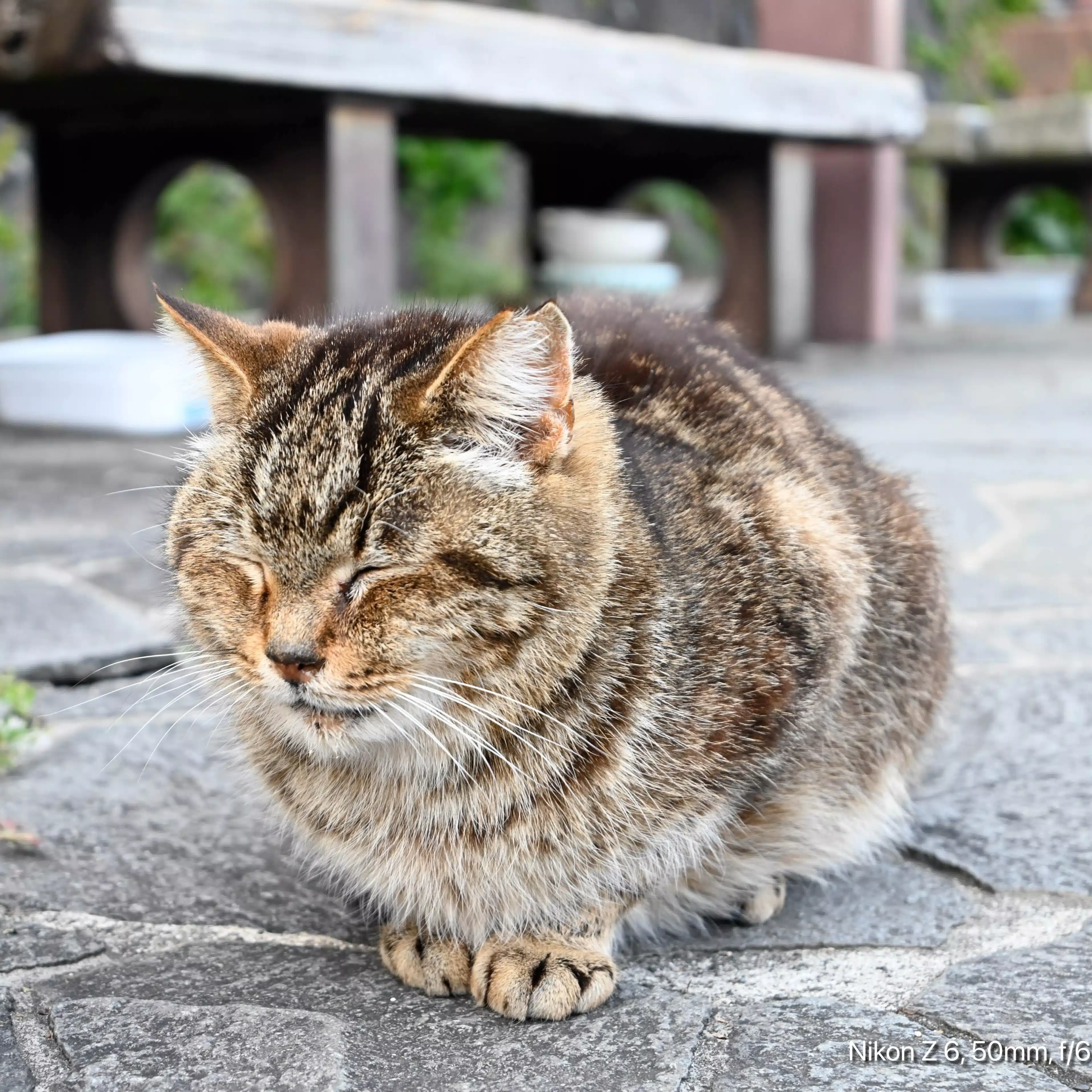 瀬戸内ダークツーリズム-消えゆく風景と忘れられた営みの記録 ―