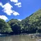 まりぶのライム