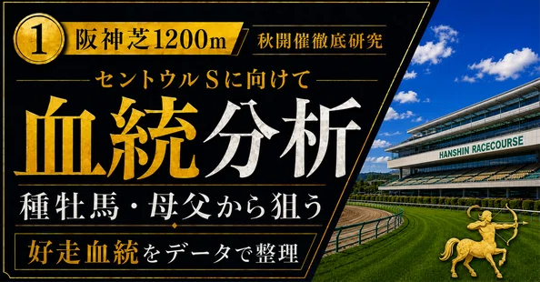 阪神競馬場（秋開催編）コース攻略 - 2026-08｜ワイドボックスタナカ