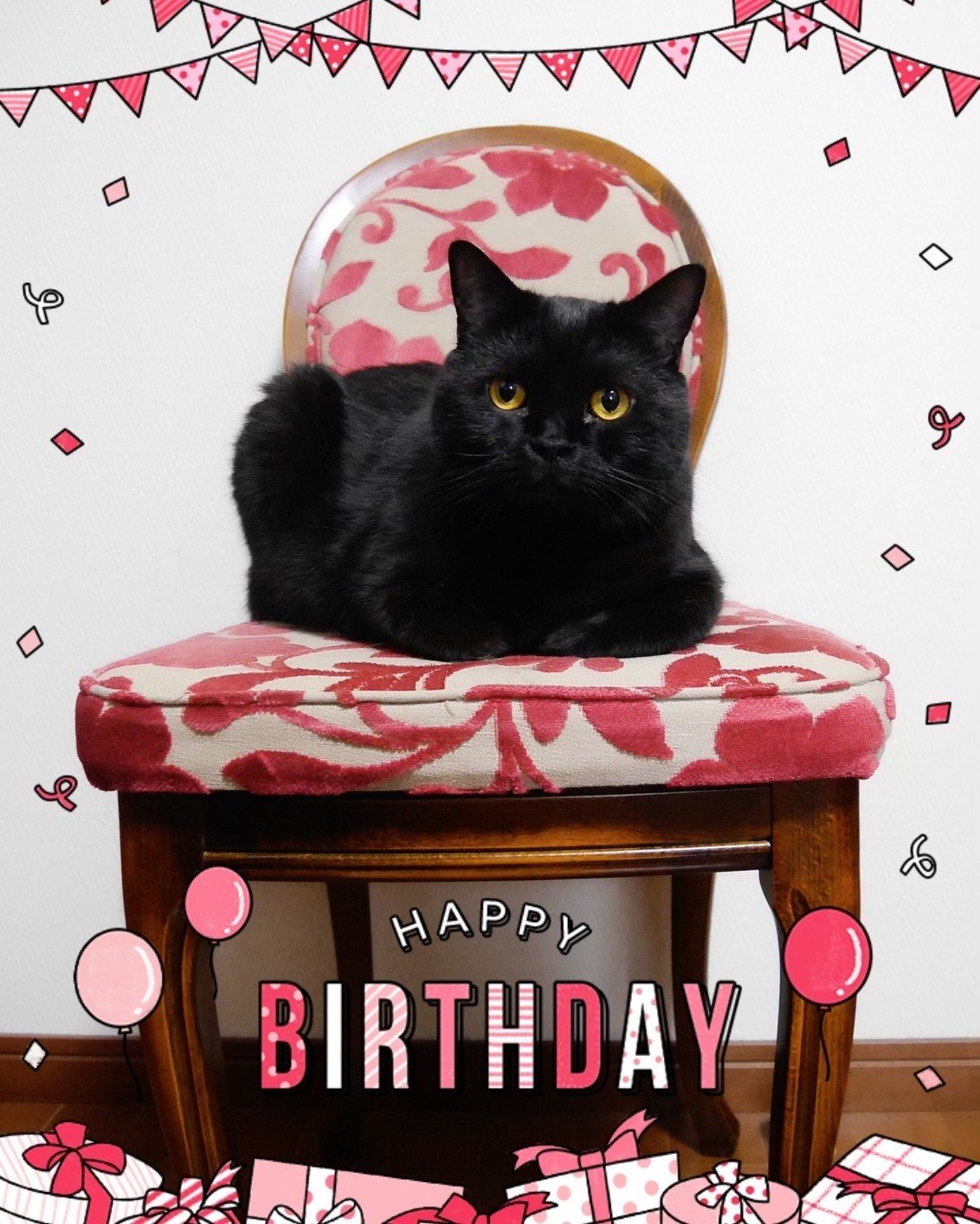 ゾロ君 お誕生日おめでとう 星マリア 占い界の傾奇者 Note ゾロ君 お誕生日おめでとう 星マリア 占い界の傾奇者 Note