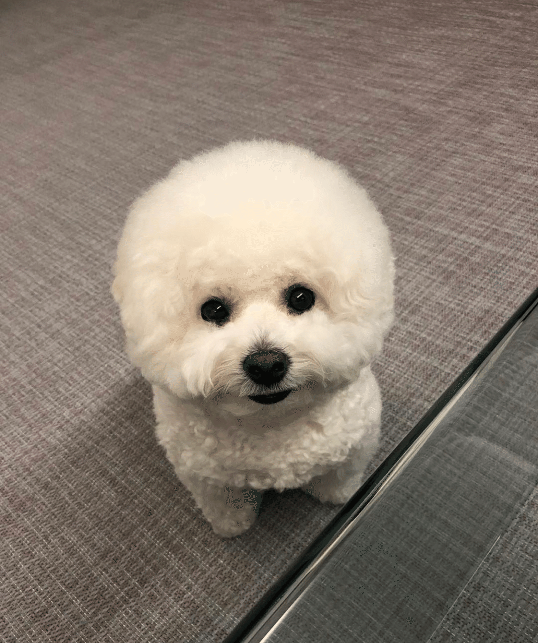 パクソジュンが愛し過ぎる Hono Note