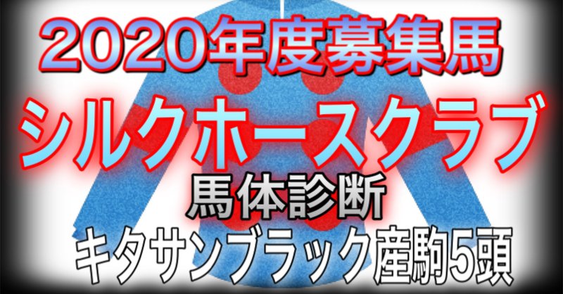 シルクホースクラブ　2020年度募集馬　リクエスト　キタサンブラック産駒5頭　馬体診断