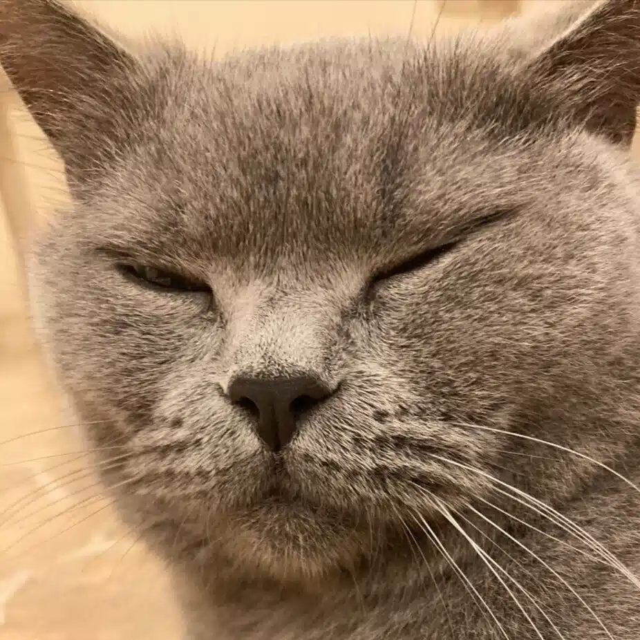 ららら