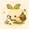 hasona