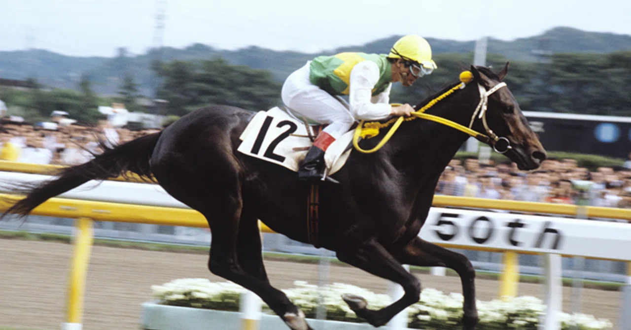 ミスターシービー｜淀の坂を下りながら先頭に立った、19年ぶりの三冠馬