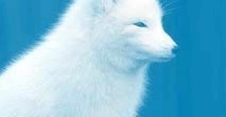 白い狐が死んだ夢 インディゴチルドレン 超人類進化研究所 代表 Kao333 Note