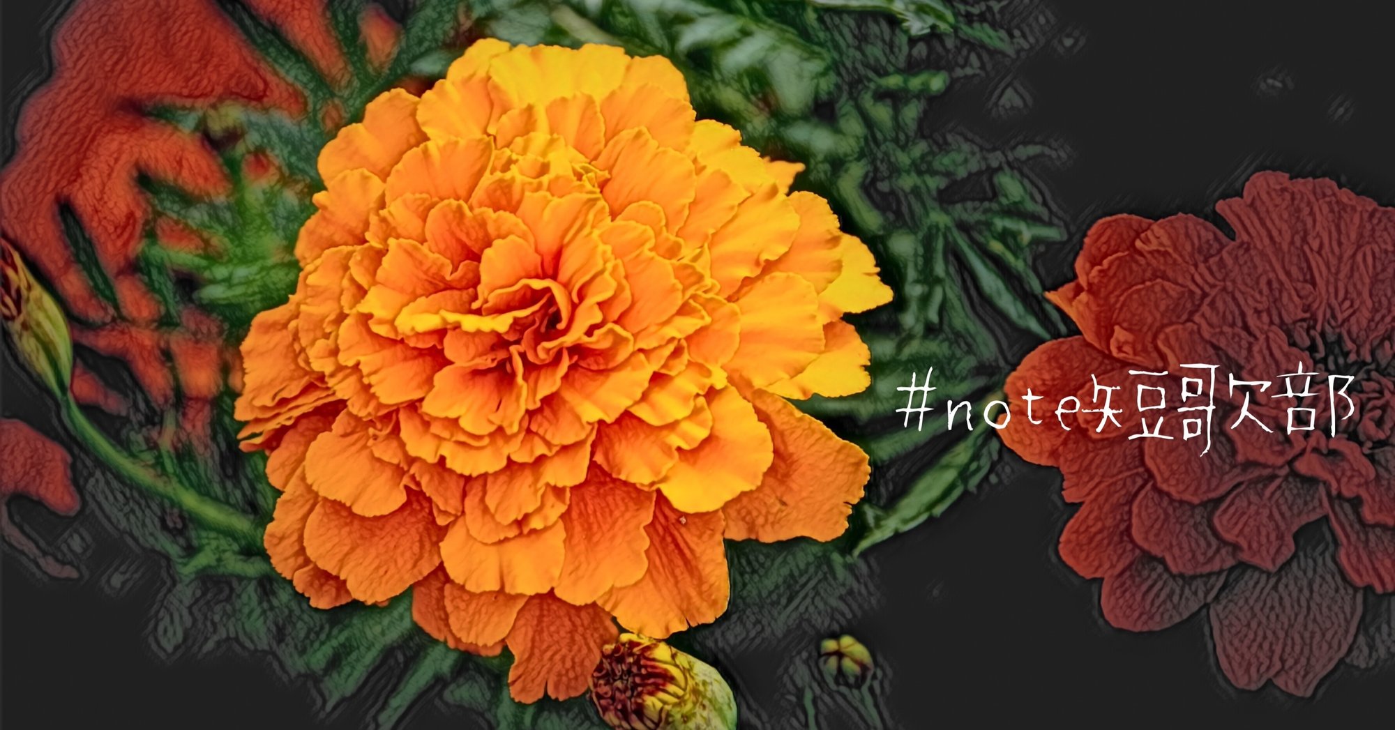 7月18日 誕生花はマリーゴールド Note短歌部 御子柴 流歌 Note 7月18日 誕生花はマリーゴールド Note短歌部 御子柴 流歌 Note