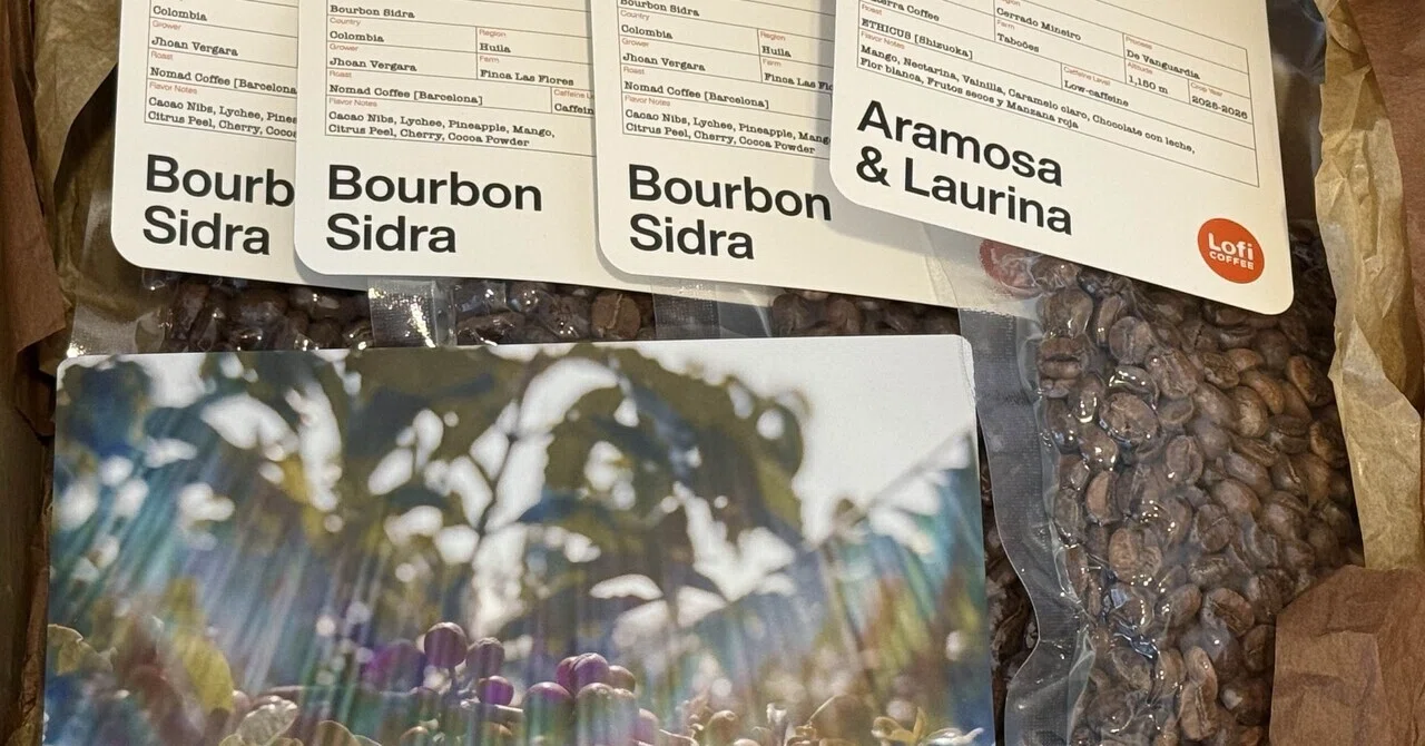 Lofi Coffee コーヒー豆 Bourbon Sidra 80g 高城剛 Vol.190 Lofi