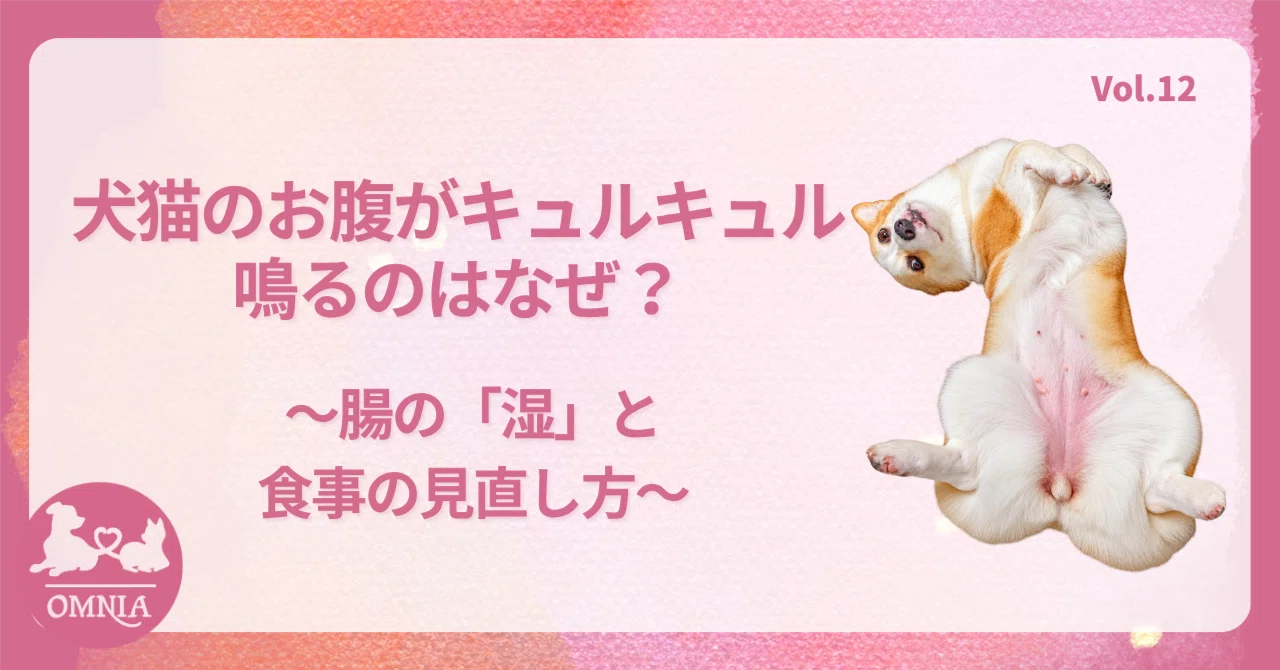 犬 お腹 が キュルキュル 鳴る