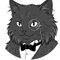 【毎朝更新】ニャワール | 黒猫執事のオラクル占い