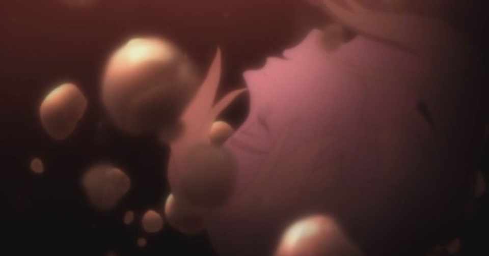 バビロン アニメ10話感想 自殺サミット開催 決意 蒼 Note