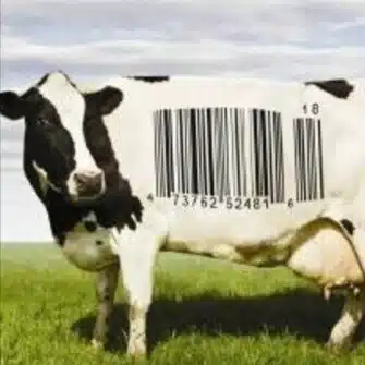COWS