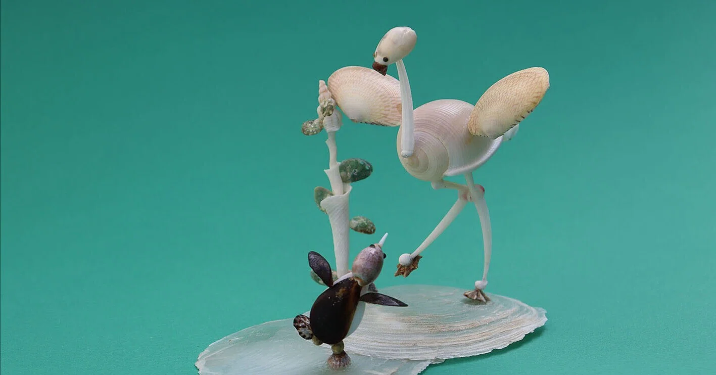 フラミンゴとペンギン」｜zoo_shell