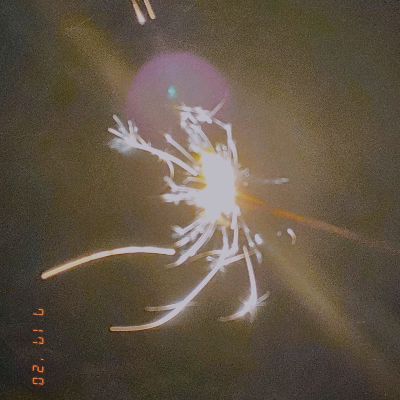 泡沫花火 Sophie Note