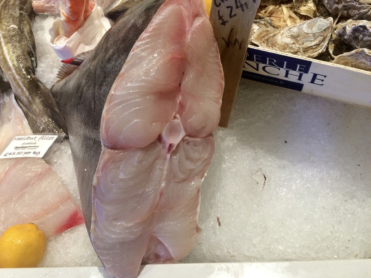 ロンドンの魚屋の全然役に立たないお魚図鑑 Halibut編 プリヒル姉さん 魚屋 Note