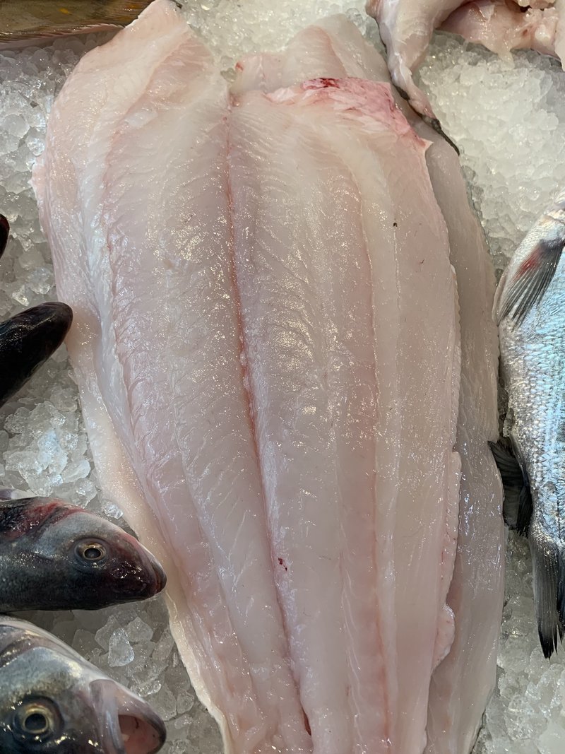 ロンドンの魚屋の全然役に立たないお魚図鑑 Halibut編 プリヒル姉さん 魚屋 Note ロンドンの魚屋の全然役に立たないお魚図鑑 Halibut編 プリヒル姉さん 魚屋 Note
