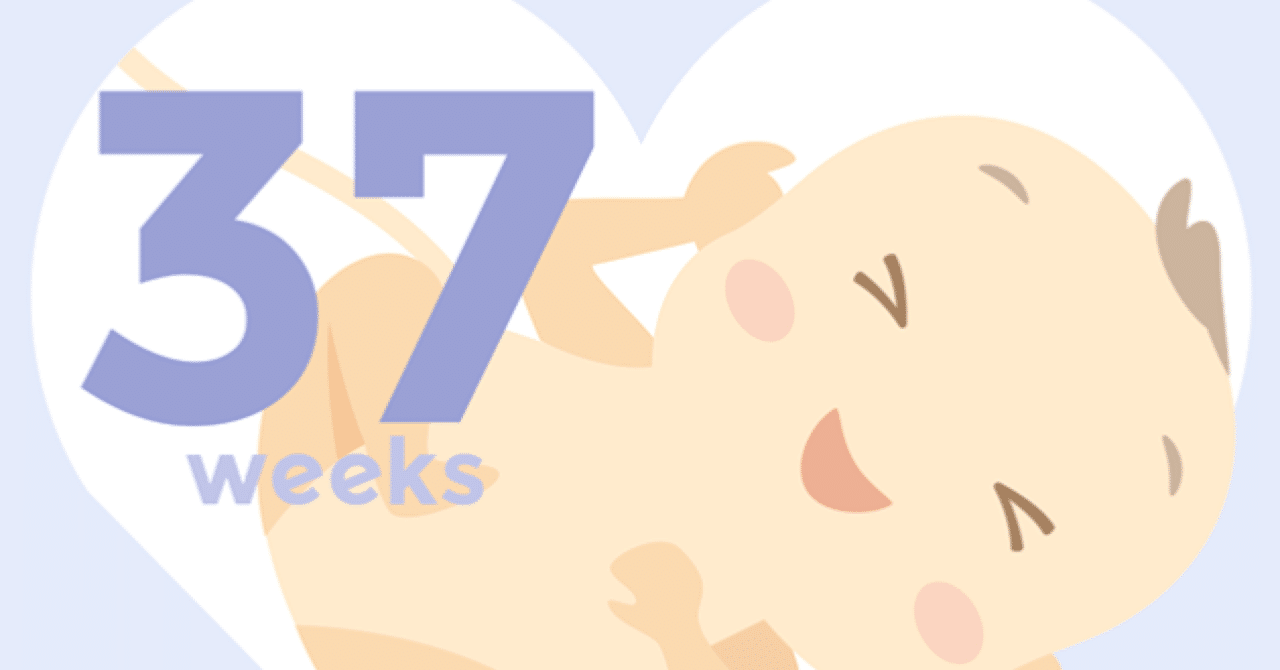 37週 生産期突入 1カ月以上総合病院に入院して感じたこと みくまゆたん Note