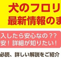 フロリネフ 犬への用量と副作用を解説 小日向 裕子 Note