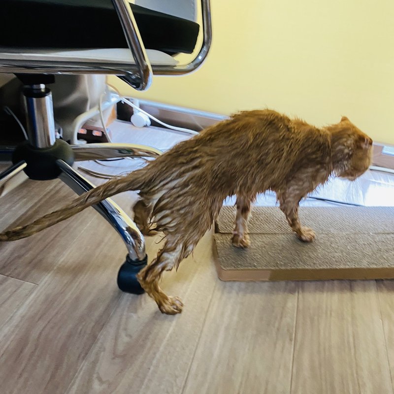 お面の親子のオメーンとコメーン 人に見せる用日記 0712 0718 平林緑萌 Note