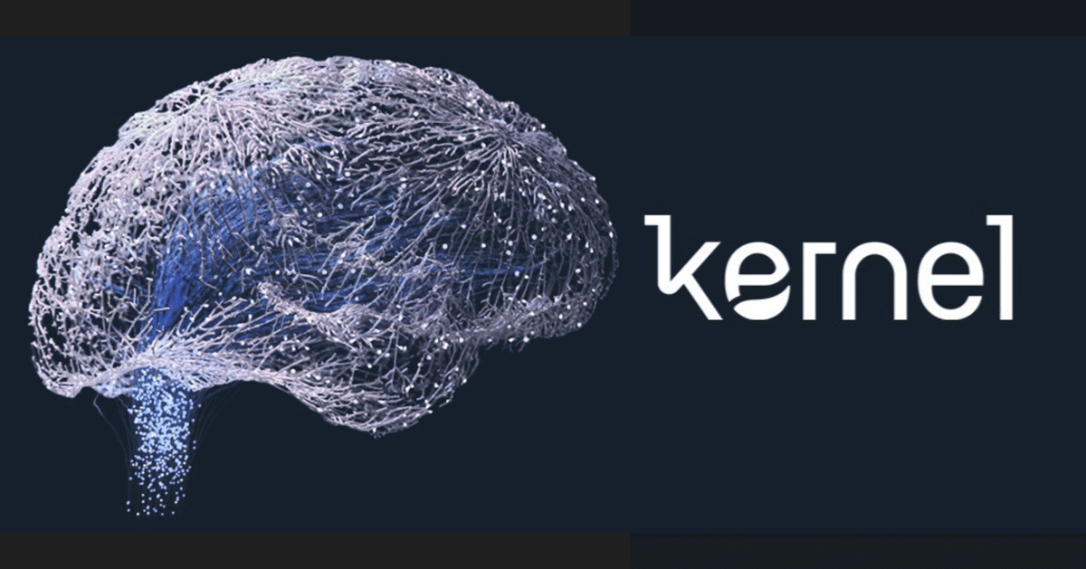 脳 侵襲型のNeuralink」、「非侵襲型のKernel」｜Daichi Konno