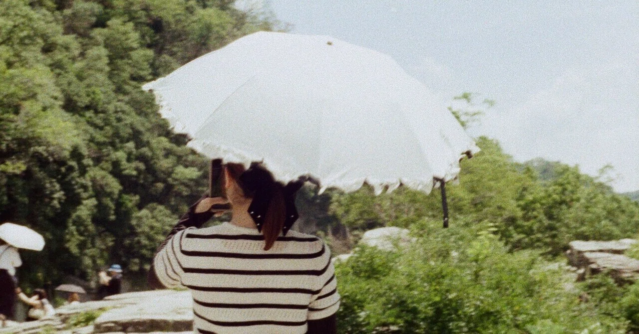 OLYMPUS PEN-EED / 好きなフィルムカメラ14｜うえ