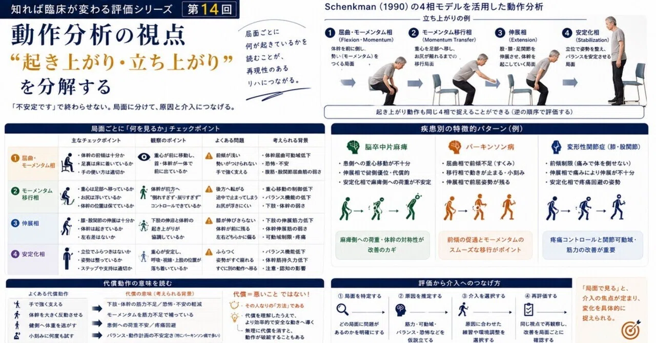 動作分析の視点｜”起き上がり・立ち上がり”を分解する｜Clinical Blue