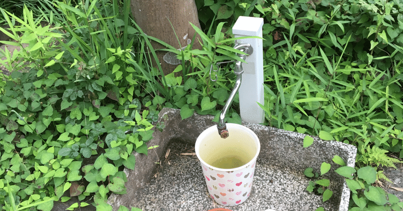 名声を得るのとは次元が違う 小鳥遊 音 たかなし おと Note 名声を得るのとは次元が違う 小鳥遊 音 たかなし おと Note