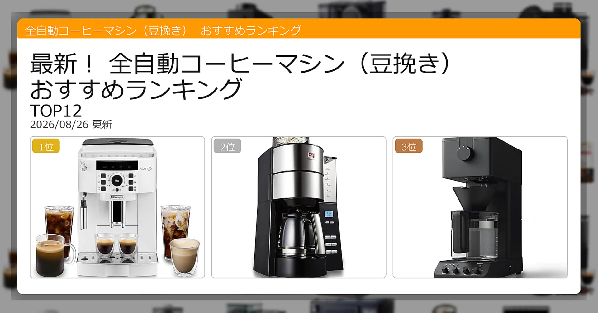 活動歴および当時の関連ビジュアル記録