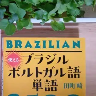 田町　崎（たまち　さき）