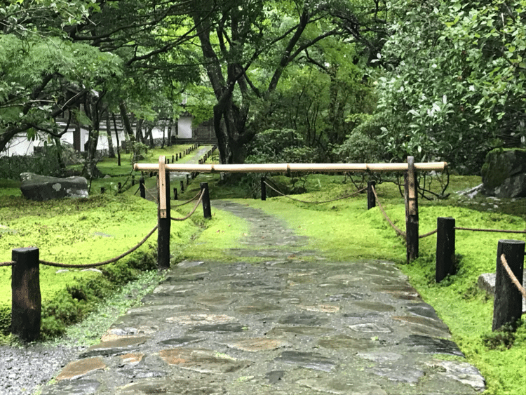 小学生の時から憧れてていた苔寺西芳寺での一枚。手入れの行き届いた見事な苔庭園でした。苔のテーマパークと行っても過言ではないと思いました。