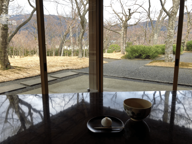 ２月にいった箱根美術館の苔庭
今頃だといい感じでお茶飲めたん
でしょうね。ここも手入れはしっかりされているようです。
#苔