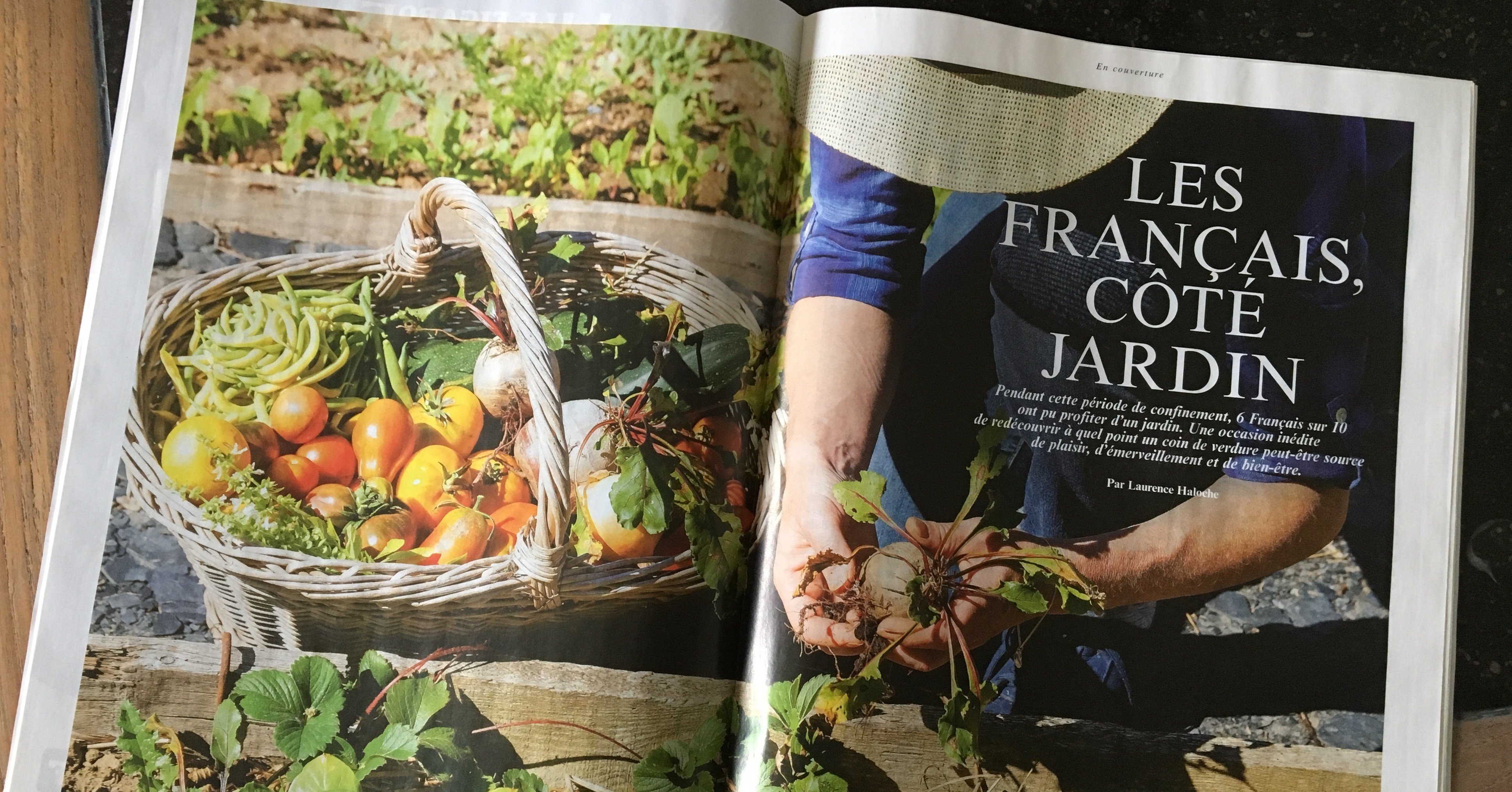 フランスの庭づくり、家庭菜園が大人気｜リスの庭だより｜フランスの庭