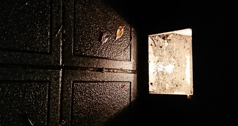 自死 良くないこと という価値観に翻弄され 犠牲になる現代人の宿命 宙の音 Note