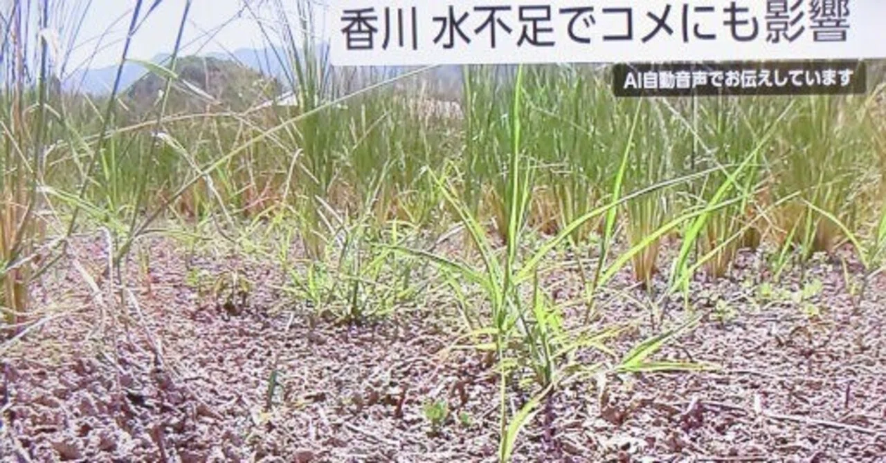 線香水の知恵は今😅｜barber 三朝温泉の梶川理髪館（おかげさまで百年）