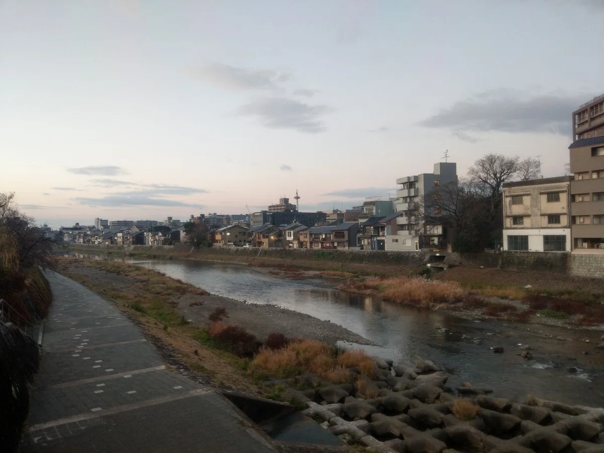 画像7