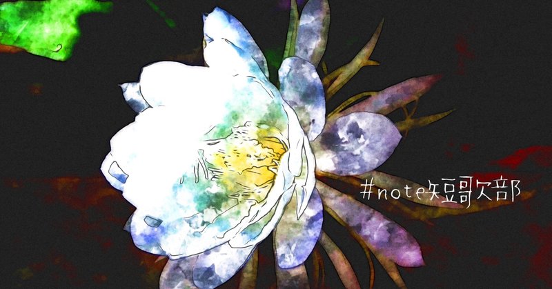 7月19日 誕生花は月下美人 Note短歌部 御子柴 流歌 Note