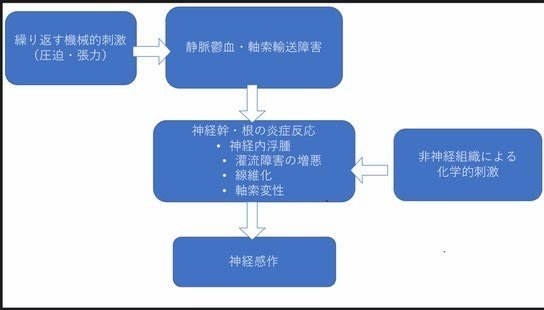 模式図-神経痛