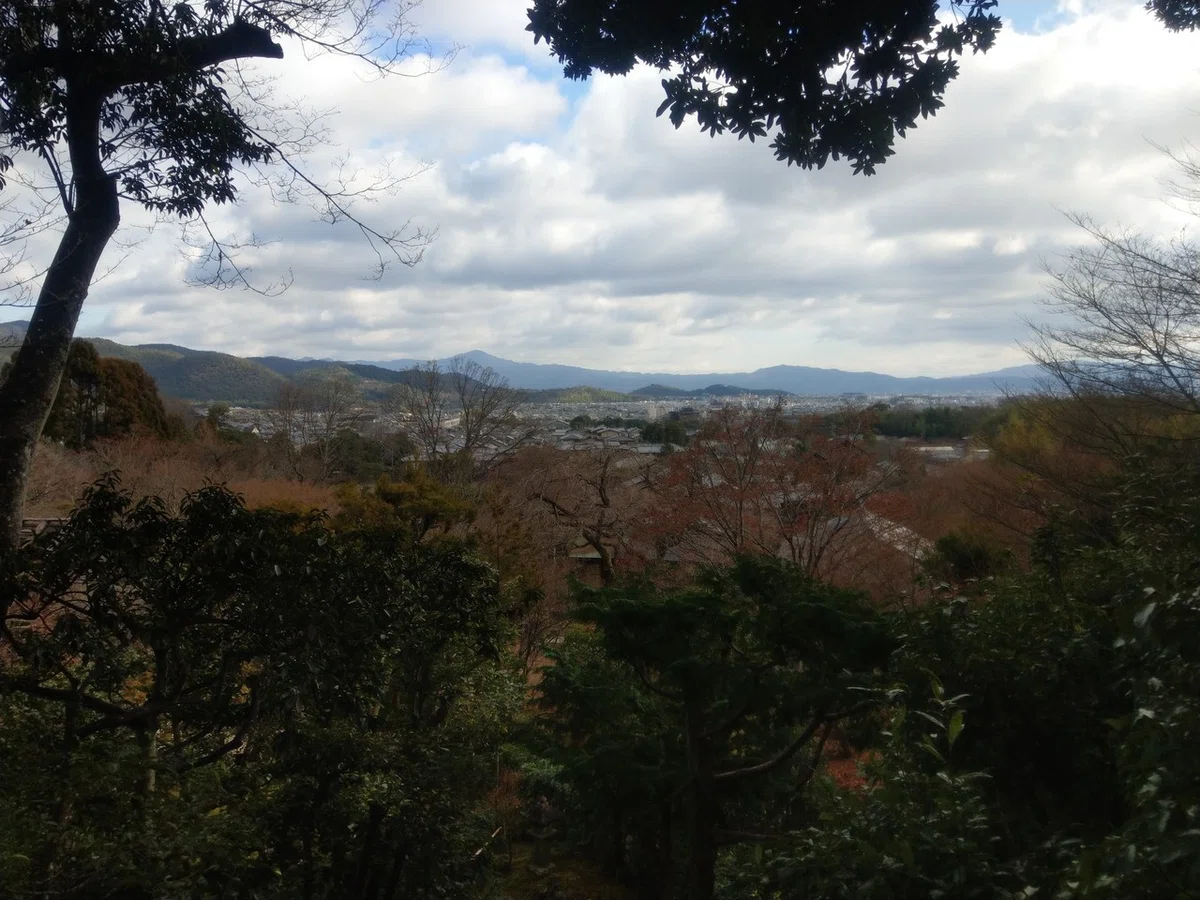 画像6
