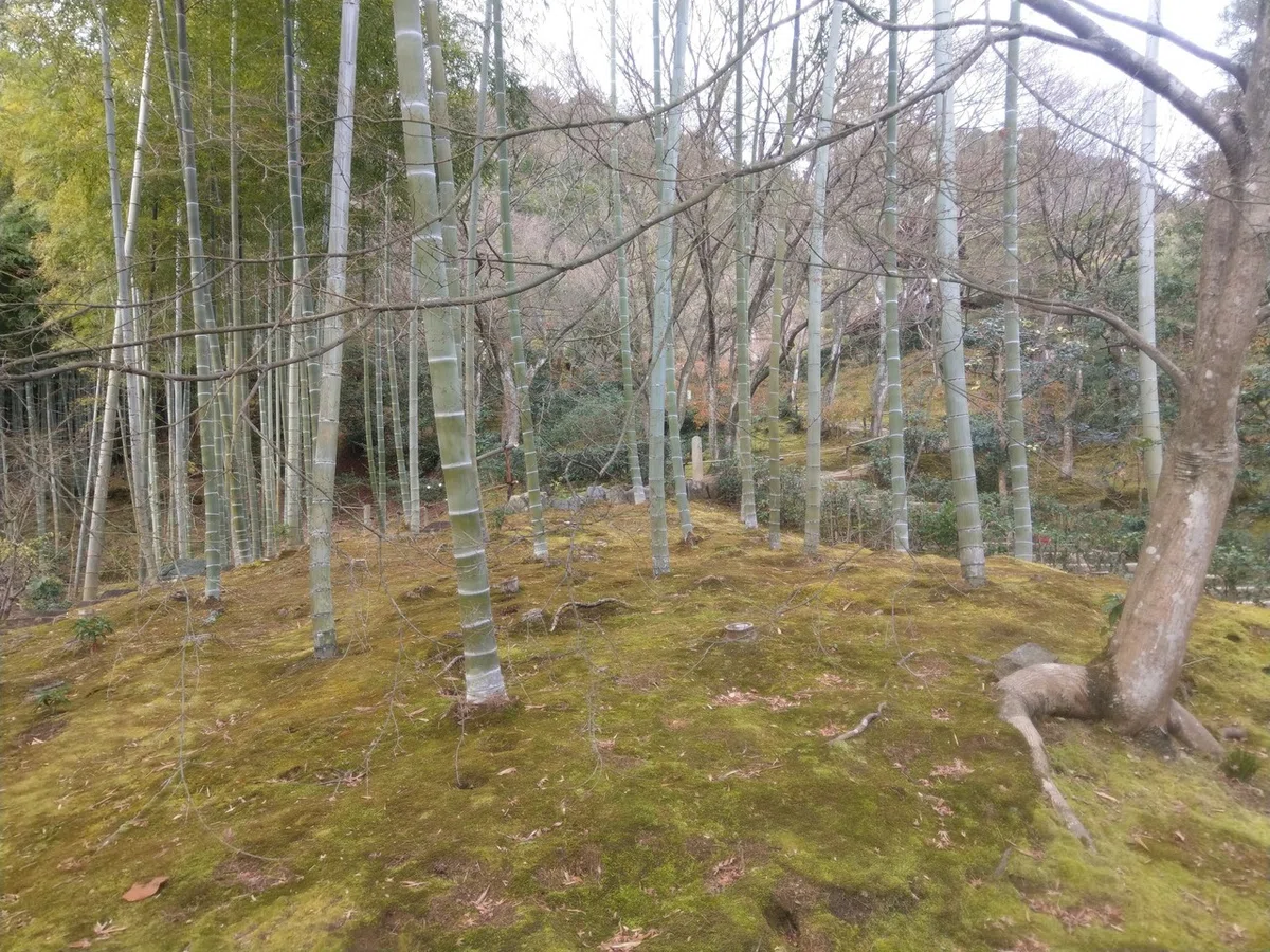 画像7