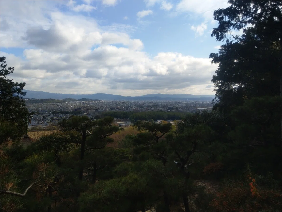 画像4