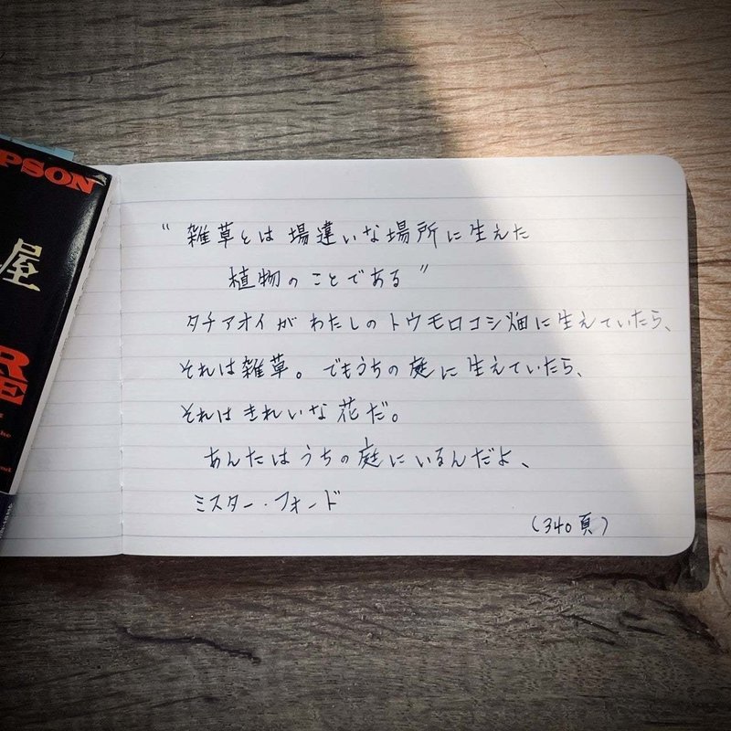 サディスチックが突き抜ける 殺しの緊張の緩和 おれの中の殺し屋 推薦本 伊皿子りり子 Note