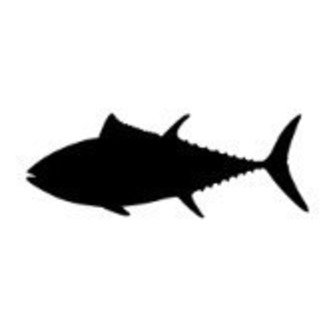 田中 一 タイセイヨウクロマグロ研究所 Note