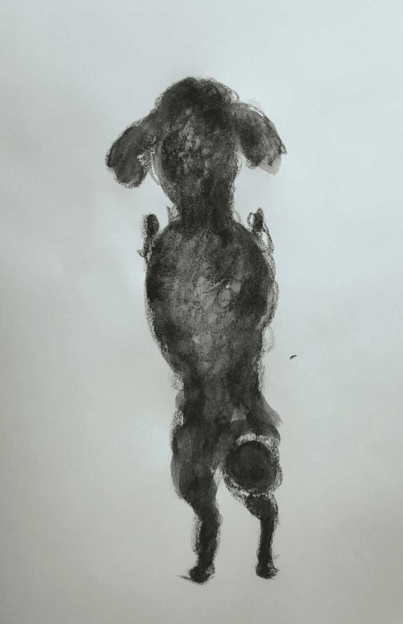 我が家の愛犬 Shin Note 我が家の愛犬 Shin Note