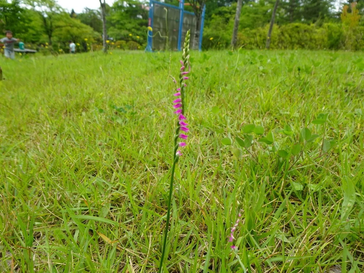 画像7