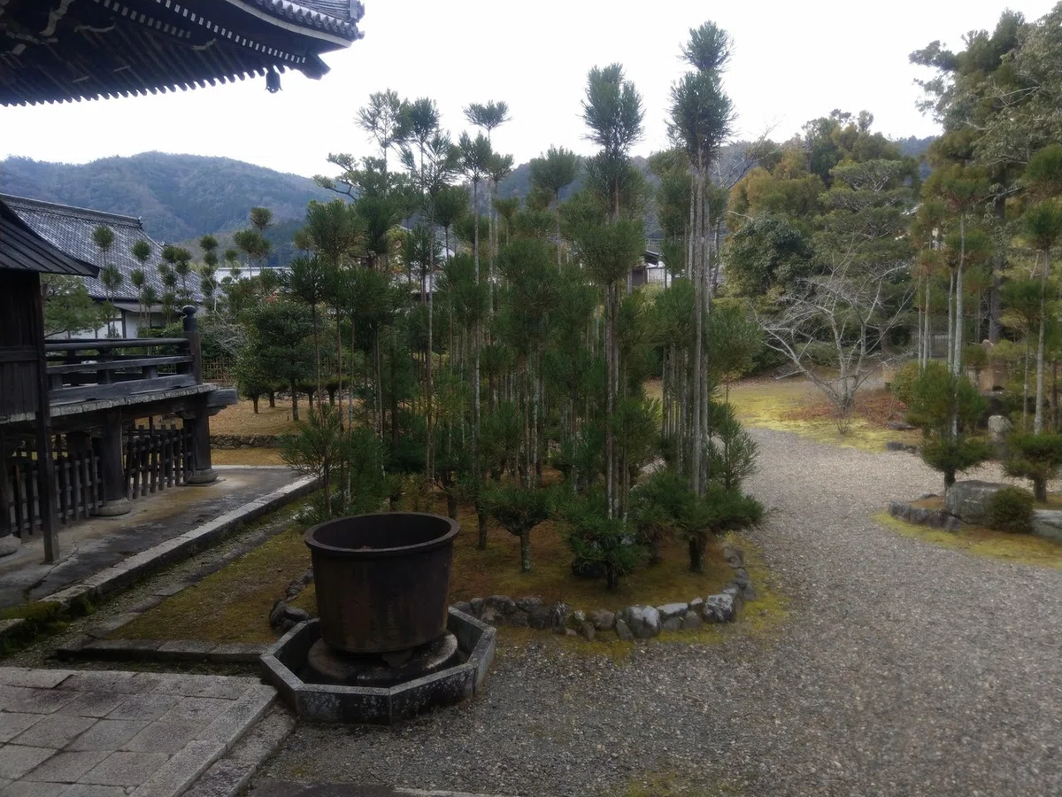 画像6