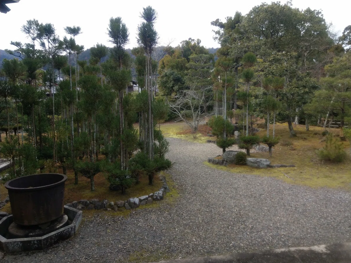 画像7