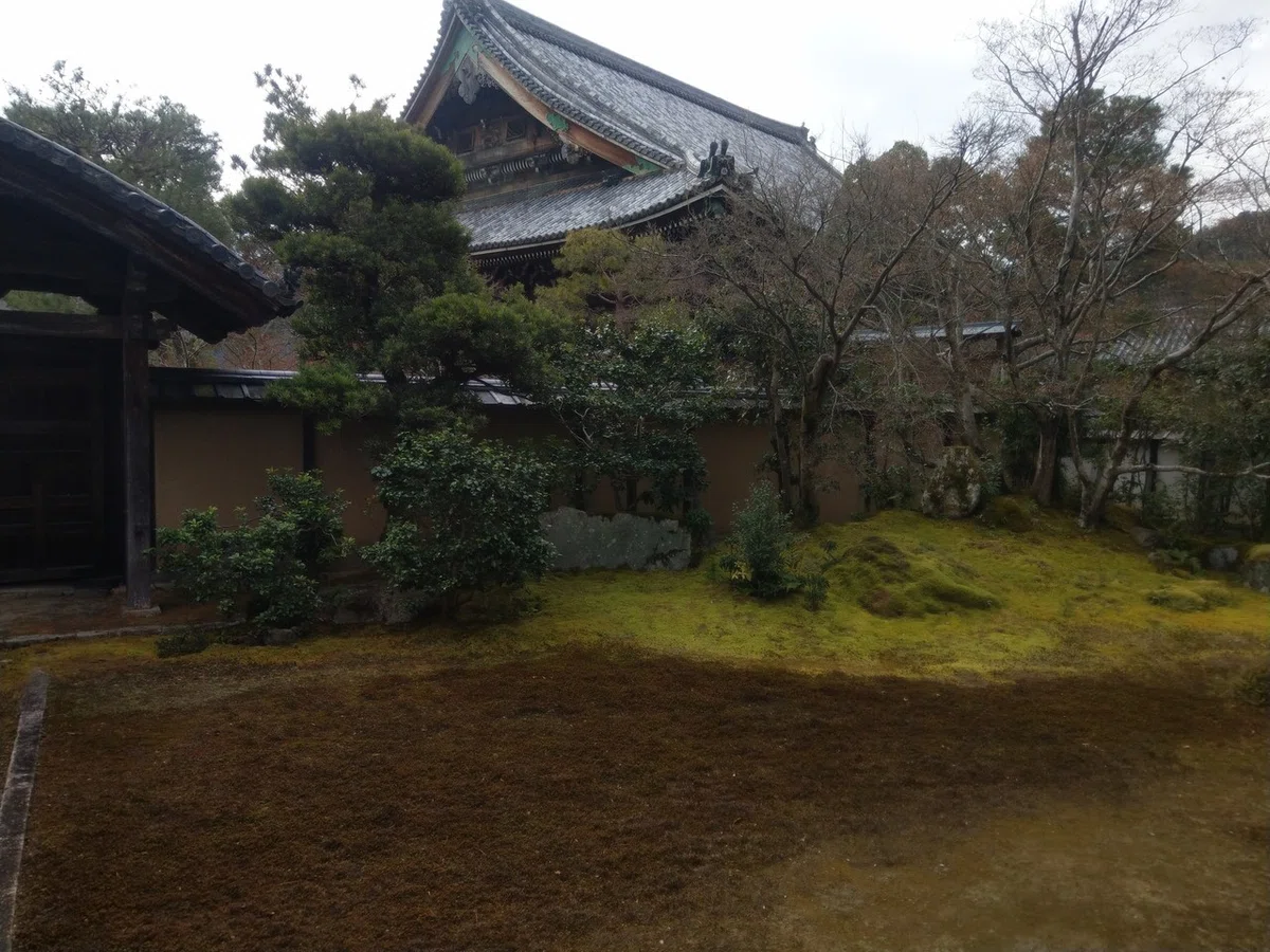 画像7
