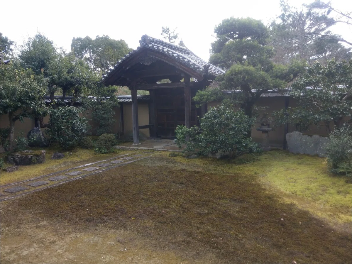 画像8
