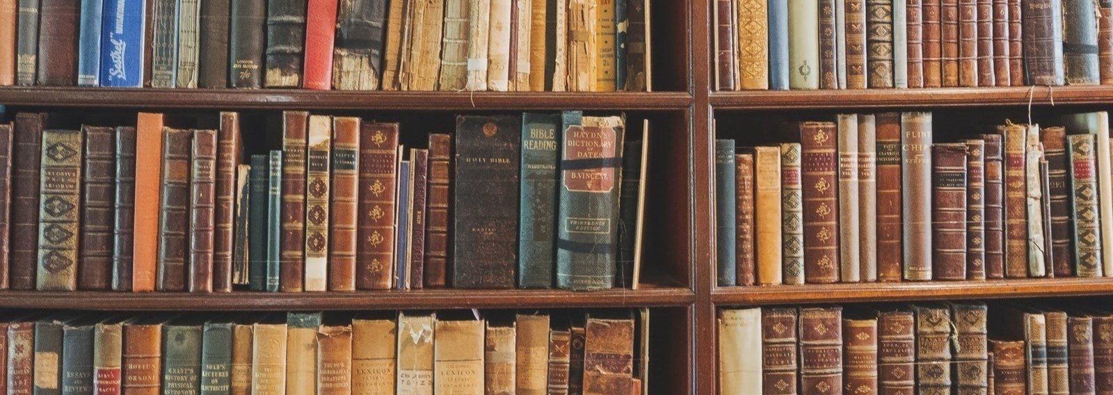 Es対策 学業で取り組んだ内容 Dragonfly Note