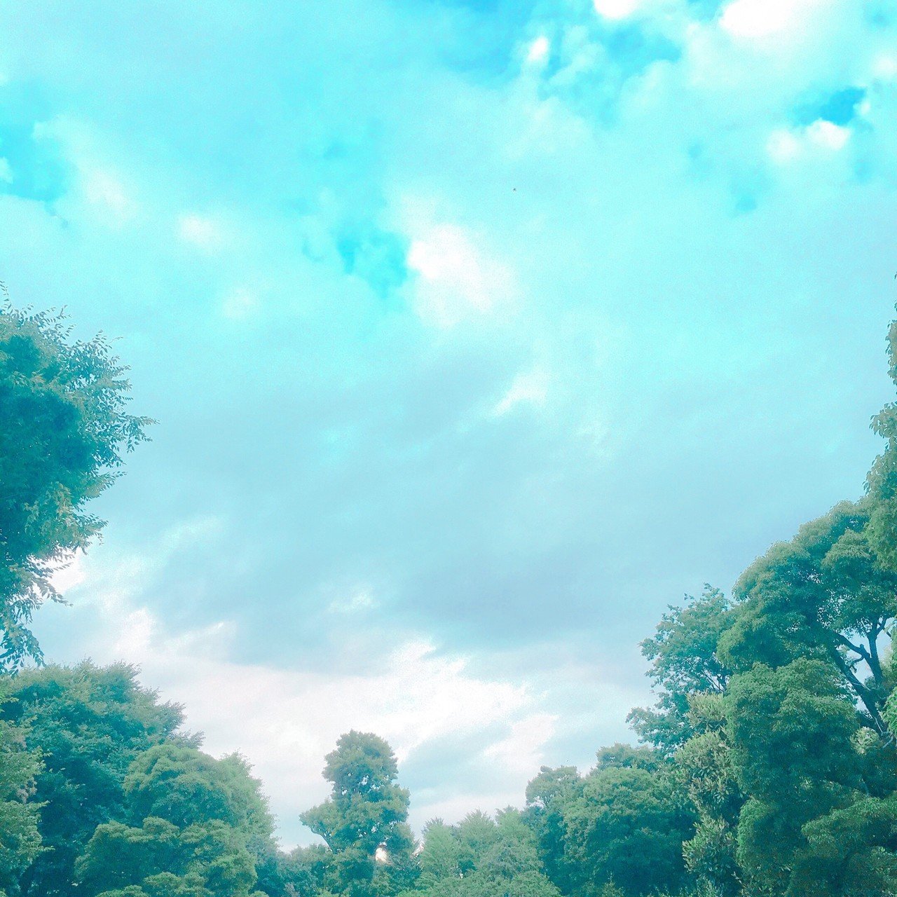 今日の東京は久しぶりの晴天 雨が降っていないってだけでなんだかウキウキしてしまいました と考えると その地域の天気や気候によって人間の性格や思考回路も変わってくるんだろうな 県民性とか 国 待友ナヲ子 Matsutomo Nawoko Note